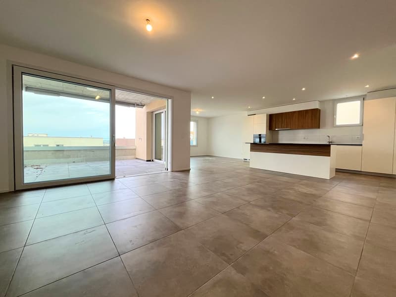 Magnificent 4.5-room apartment with large terrace and view (6)