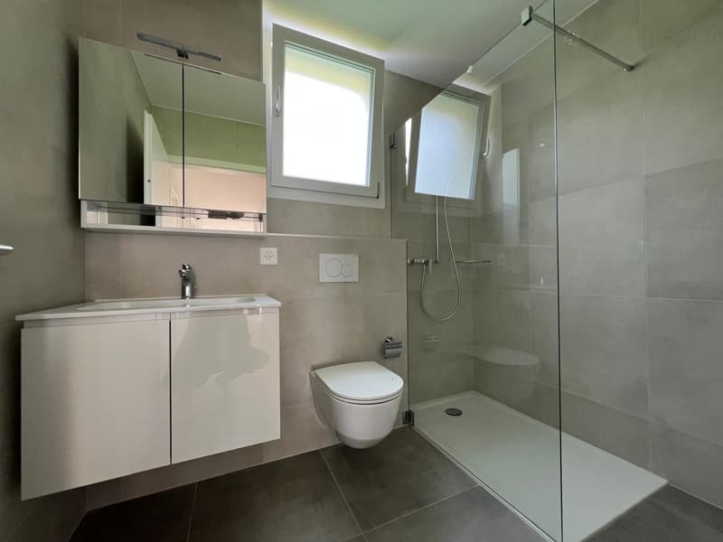 Magnificent 4.5-room apartment with large terrace and view (10)