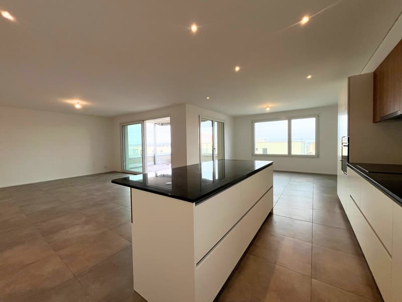 Magnificent 4.5-room apartment with large terrace and view (5)
