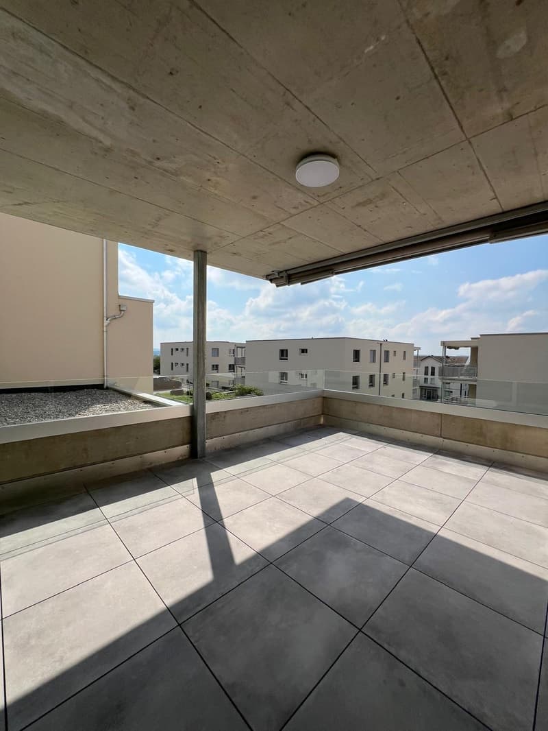 Magnificent 4.5-room apartment with large terrace and view (2)