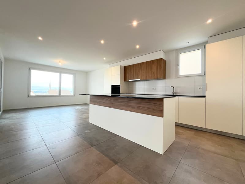 Magnificent 4.5-room apartment with large terrace and view (3)