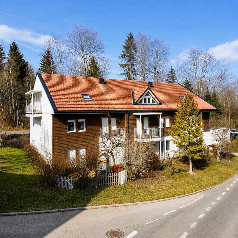 Appartement de 1.5 pièces avec magnifique vue (2)