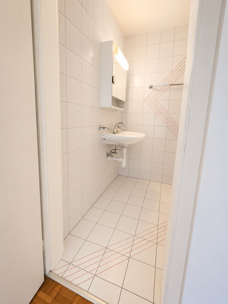 Appartement de 1.5 pièces avec magnifique vue (5)