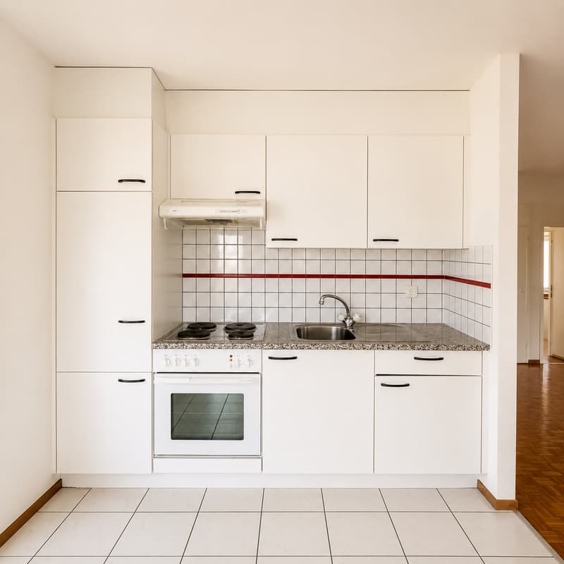 Appartement de 1.5 pièces avec magnifique vue (4)