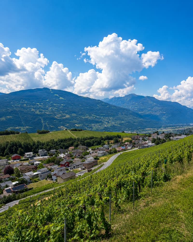 2 magnifiche ville individuali da costruire a Champlan – Grimisuat (13)