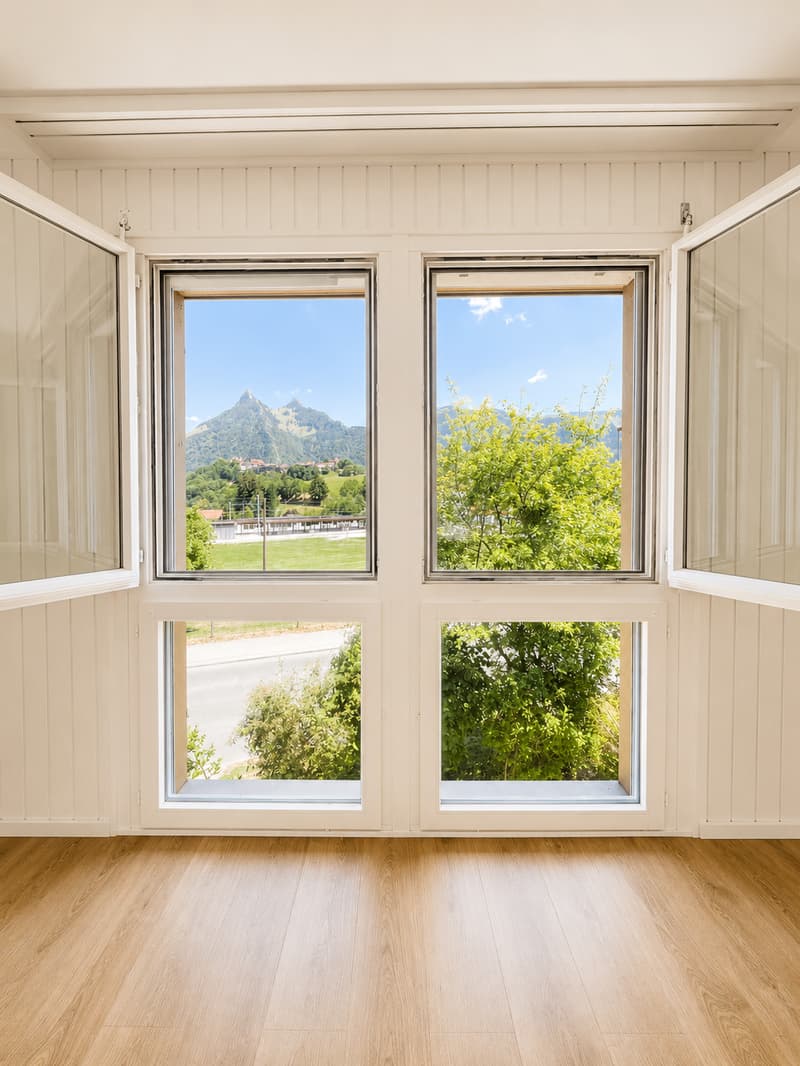 Wohnung mit 1.5 Zimmern und herrlicher Aussicht (2)