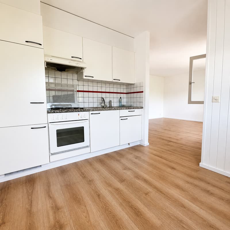 Wohnung mit 1.5 Zimmern und herrlicher Aussicht (3)