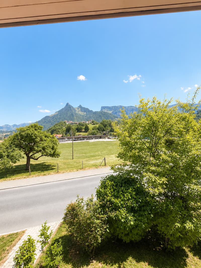 Wohnung mit 1.5 Zimmern und herrlicher Aussicht (5)