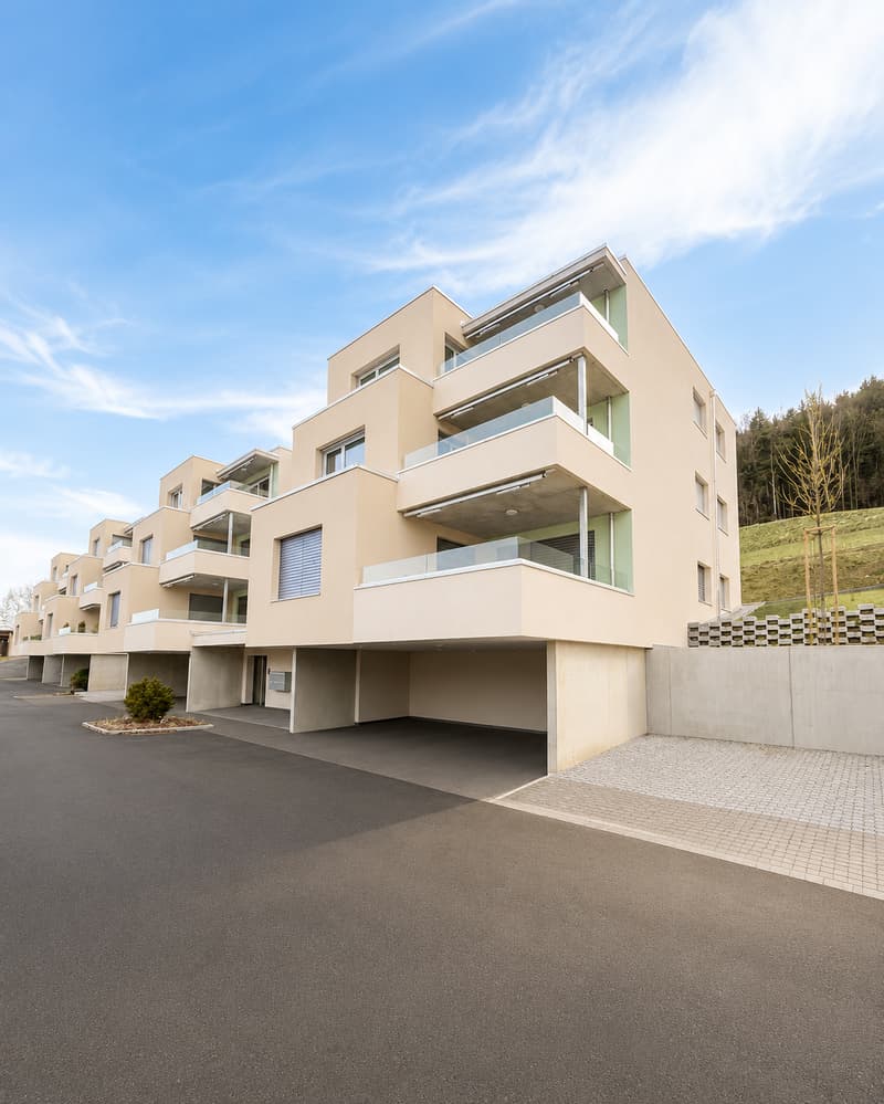 Prächtige 4,5-Zimmer-Wohnung mit großer Terrasse und Aussicht (13)