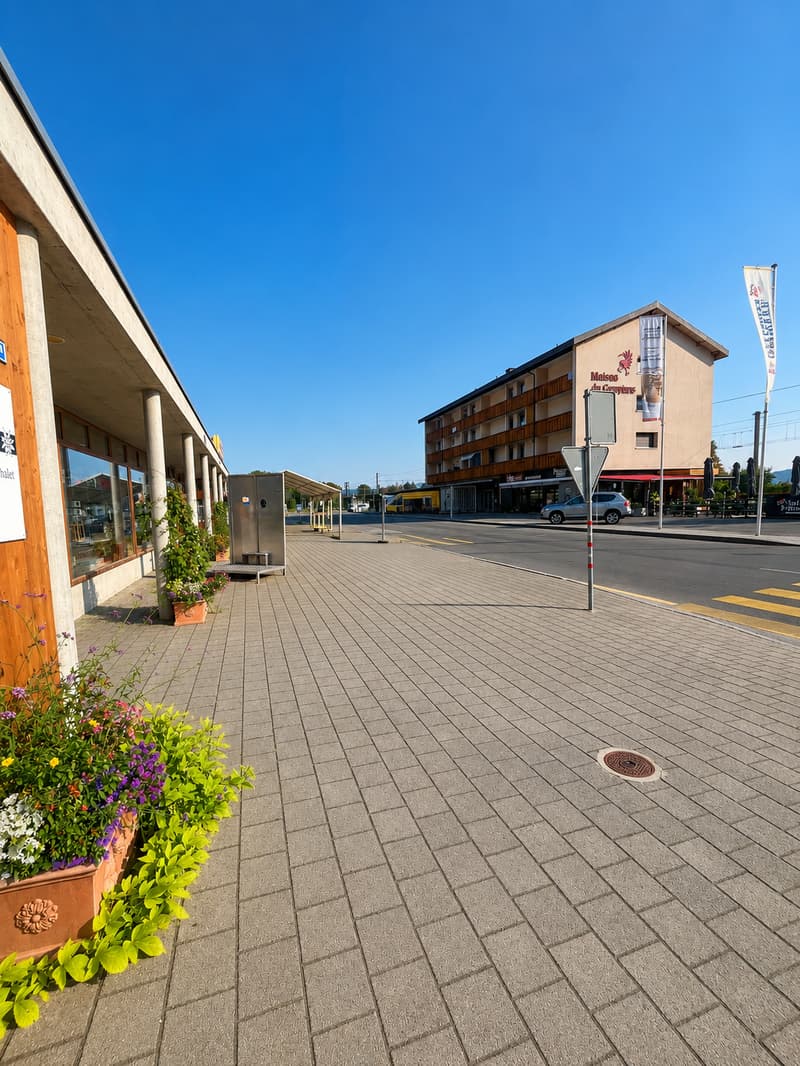 Charming 2.5-room apartment in Pringy (5)