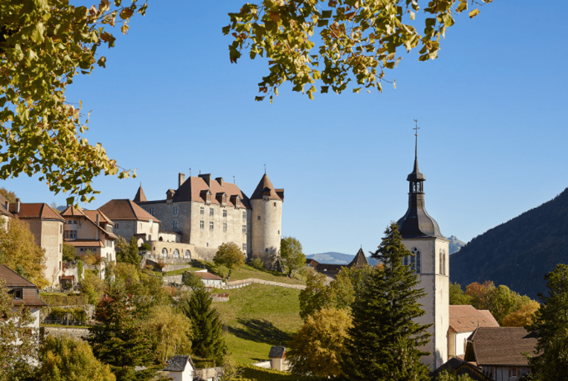 Charming 2.5-room apartment in Pringy (7)