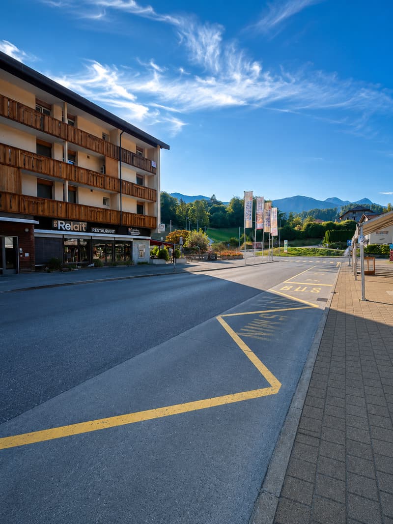 Charming 2.5-room apartment in Pringy (4)