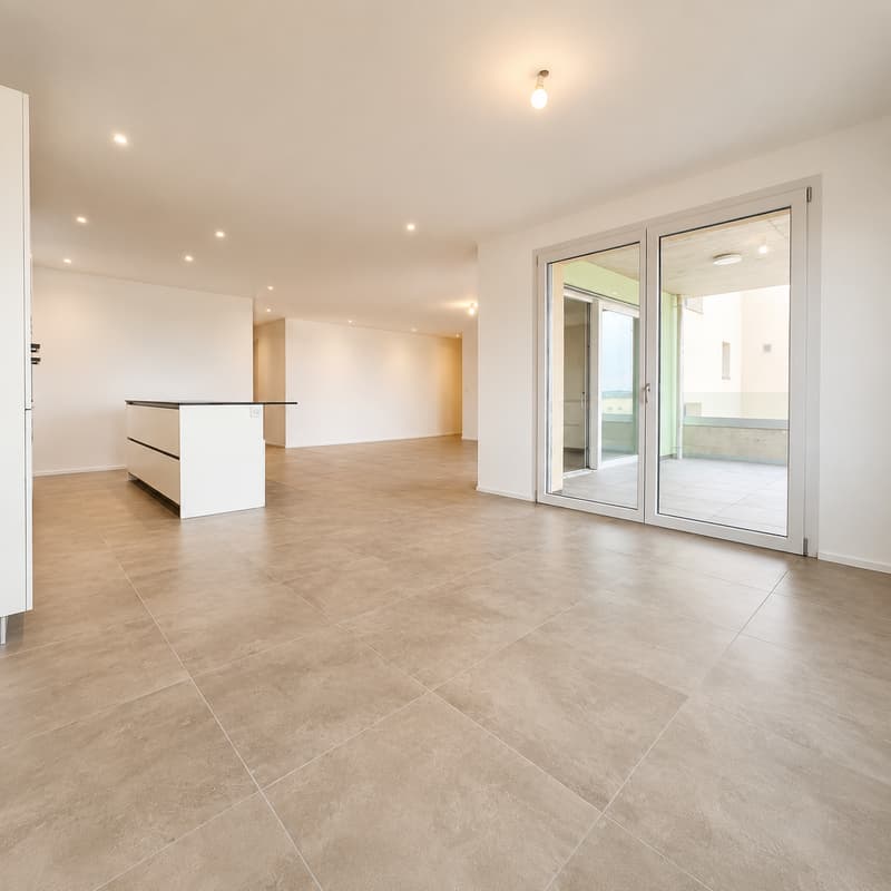 Magnifique appartement de 4,5 pièces avec grande terrasse et vue (4)