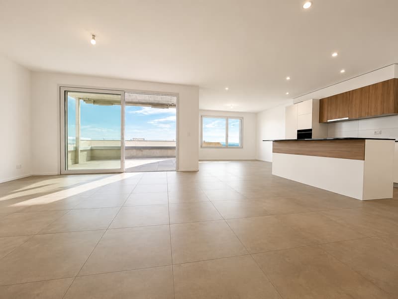 Magnifique appartement de 4,5 pièces avec grande terrasse et vue (1)