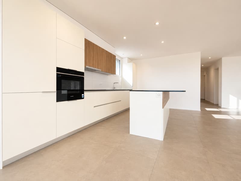 Magnifique appartement de 4,5 pièces avec grande terrasse et vue (3)