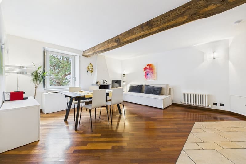 Charmante 2½-Zimmer-Wohnung mit traumhaftem Seeblick im Herzen von Morcote (2)