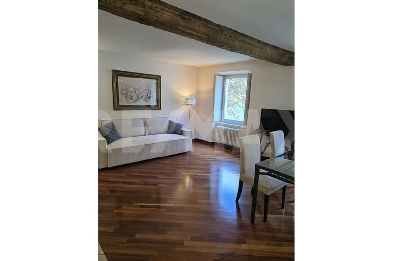 Charmante 2½-Zimmer-Wohnung mit traumhaftem Seeblick im Herzen von Morcote (1)