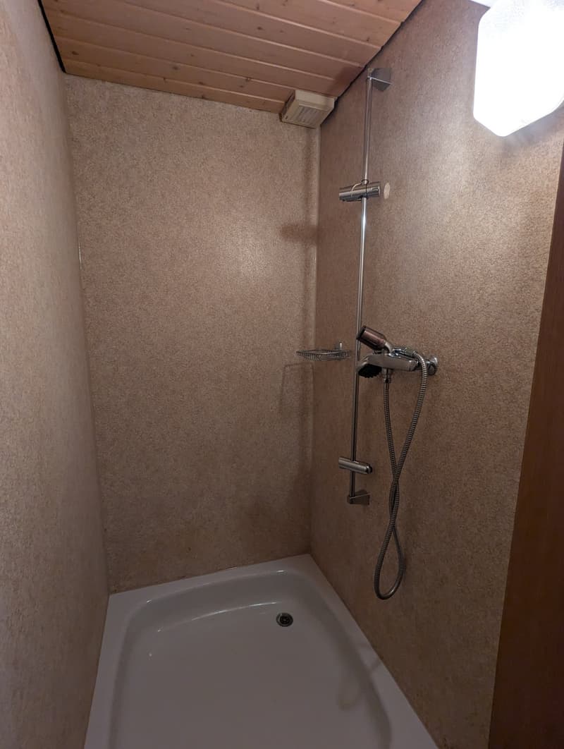 small shower area with shower head, shower hose, and soap dish