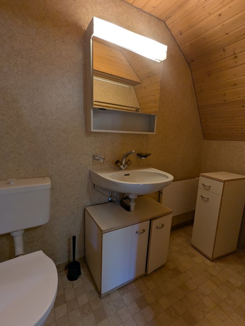 Bathroom with toilet, sink, mirror, wooden ceiling, tiled floor, cabinet, and radiator