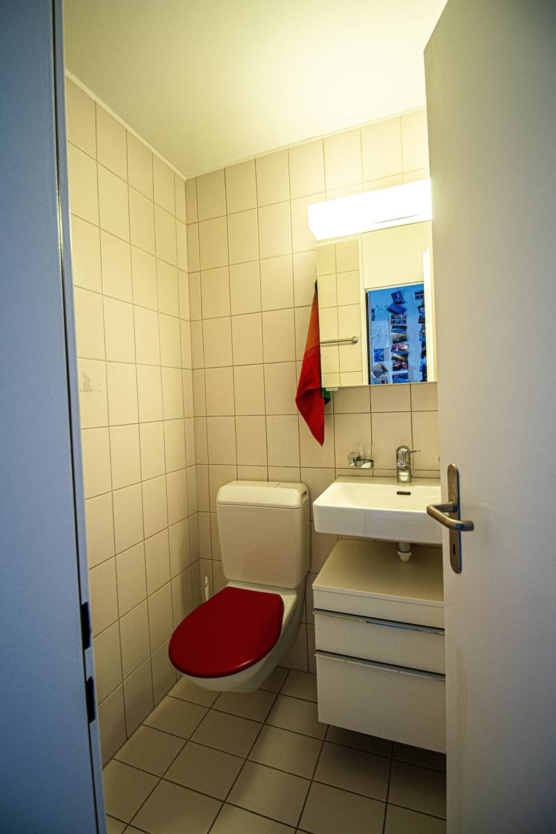 4.5-Zimmerwohnung mit Alpenblick in Ortschwaben (13)