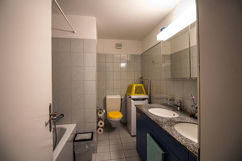 4.5-Zimmerwohnung mit Alpenblick in Ortschwaben (12)