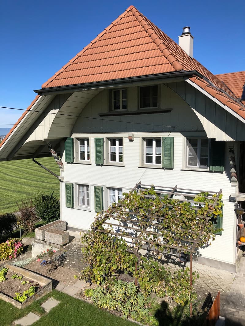 Charmante 3.5-Zimmer-Wohnung im historischen Haus in Schafhausen i.E. (1)