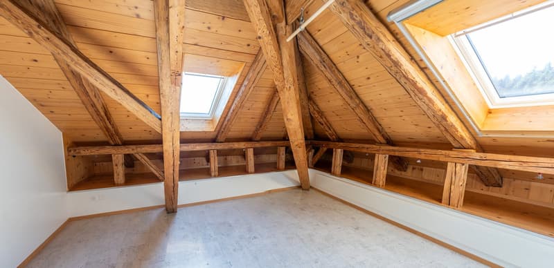 Charmante 3.5-Zimmer-Dachwohnung in Grünenmatt (1)