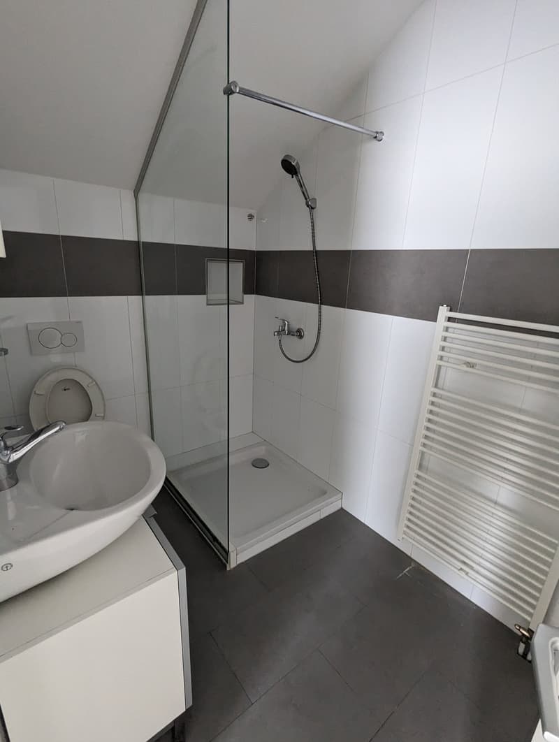 Gemütliches 1-Zimmer-Studio in ruhiger Lage in Grünen (2)