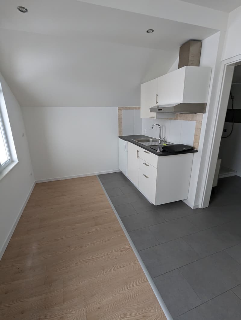 Gemütliches 1-Zimmer-Studio in ruhiger Lage in Grünen (1)