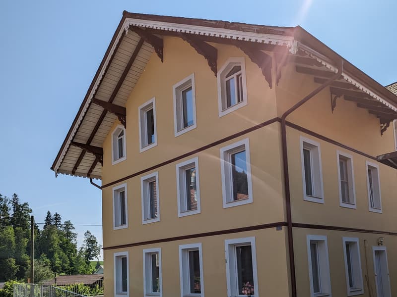 Gemütliches 1-Zimmer-Studio in ruhiger Lage in Grünen (4)