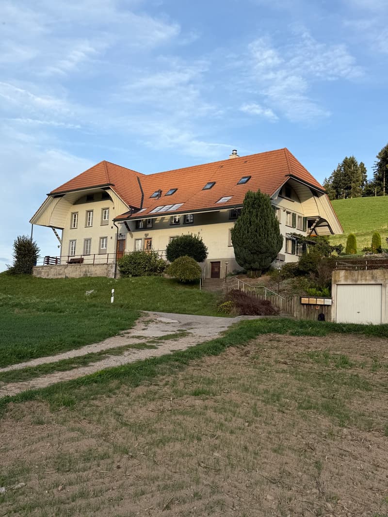 Neu sanierte 3.5-Zimmer-Wohnung in historischen Haus (12)