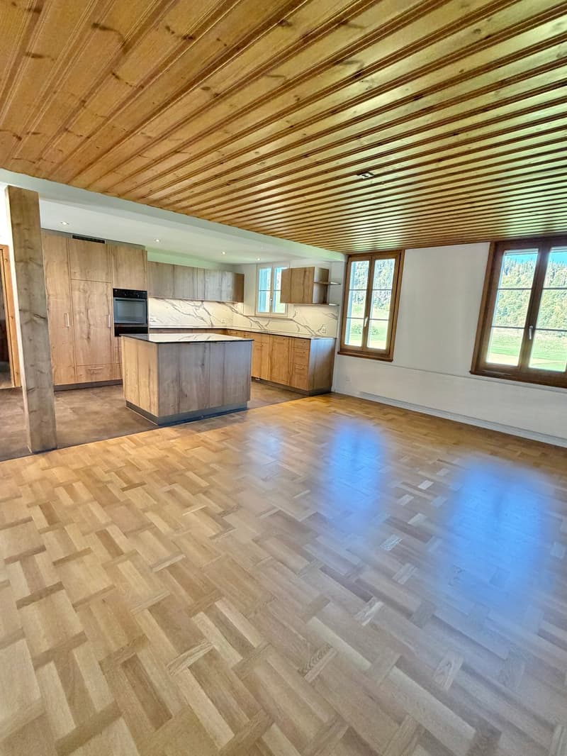 Neu sanierte 3.5-Zimmer-Wohnung in historischen Haus (1)
