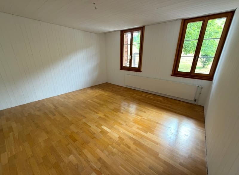 Neu sanierte 3.5-Zimmer-Wohnung in historischen Haus (5)