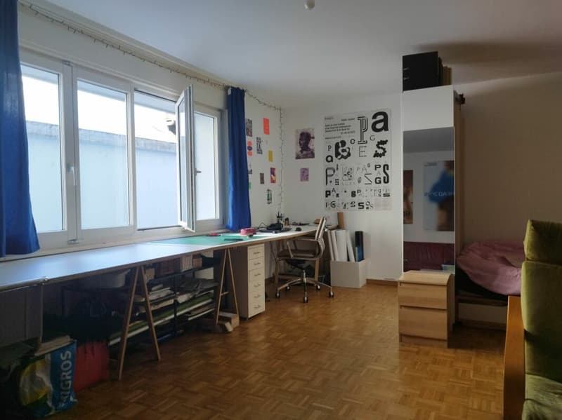 Appartement 1.5 Zimmer (3)