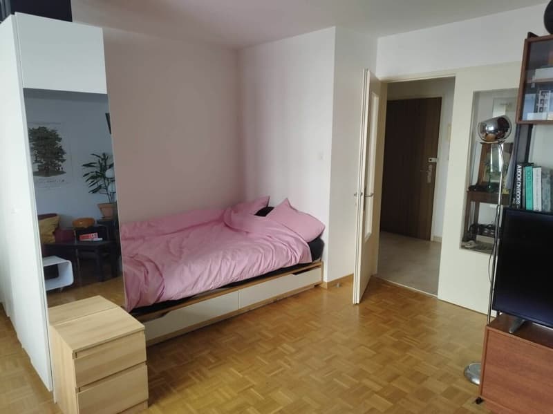 Appartement 1.5 Zimmer (4)