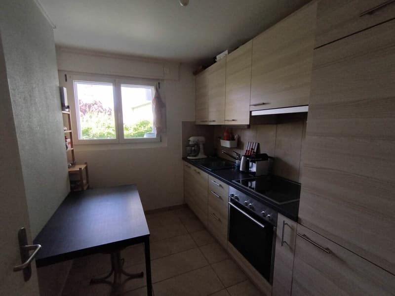 Appartement 1.5 Zimmer (5)