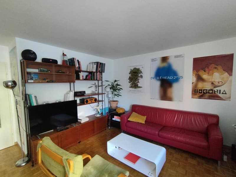 Appartement 1.5 Zimmer (2)