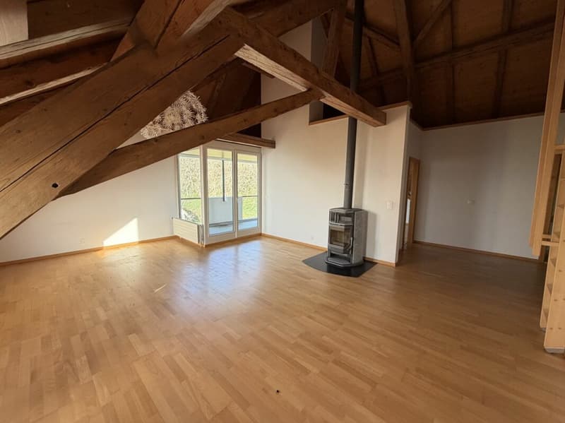 Magnificent apartment (13)