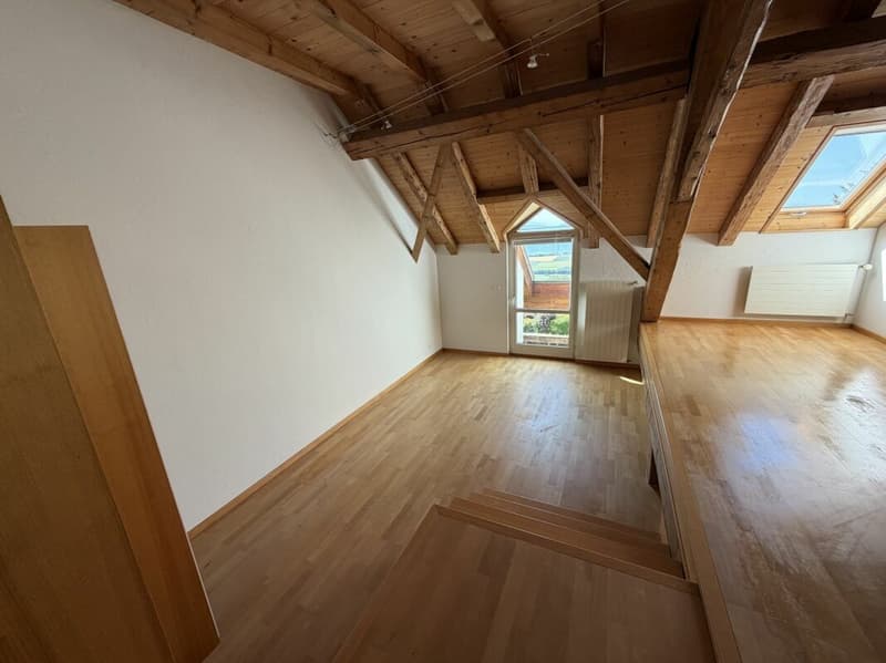 Magnificent apartment (9)