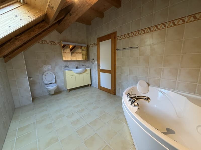 Magnificent apartment (10)
