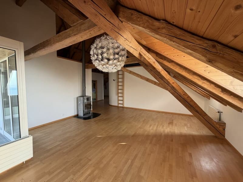 Magnificent apartment (14)