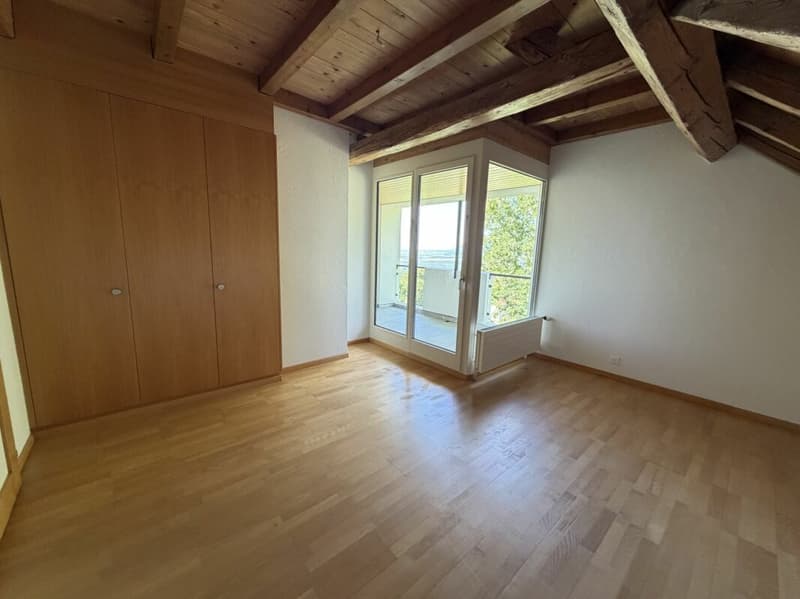Magnificent apartment (16)