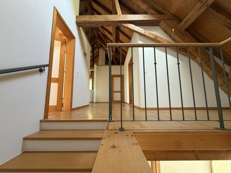 Magnificent apartment (7)