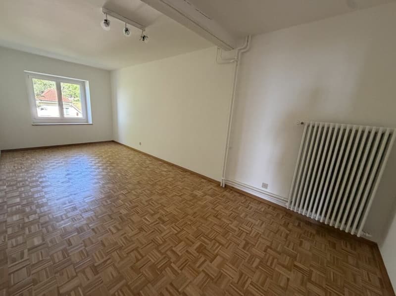 Magnificent apartment (5)