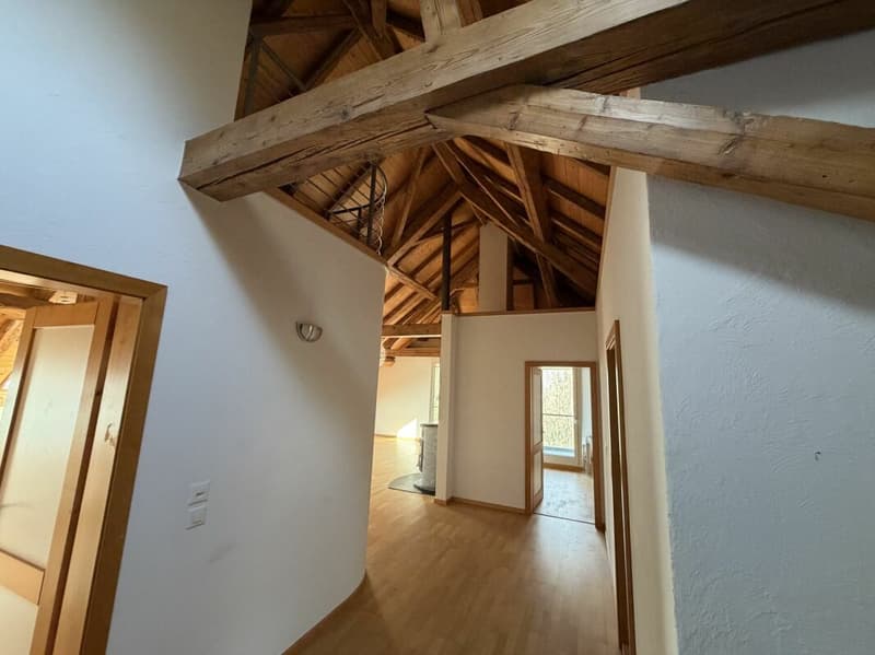 Magnificent apartment (15)