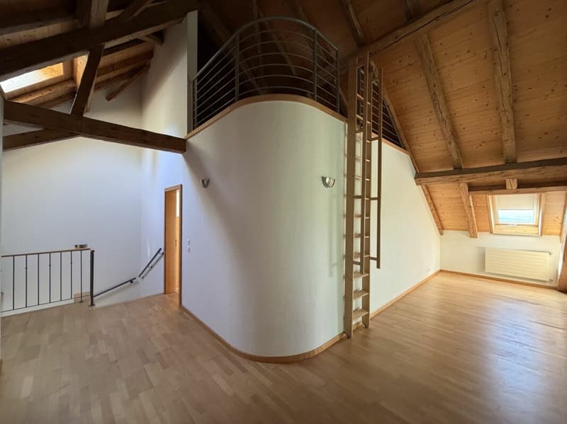 Magnificent apartment (12)