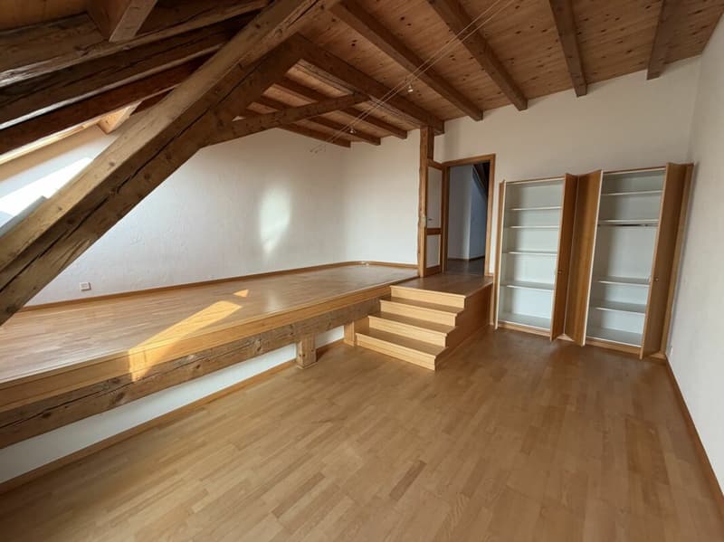 Magnificent apartment (8)