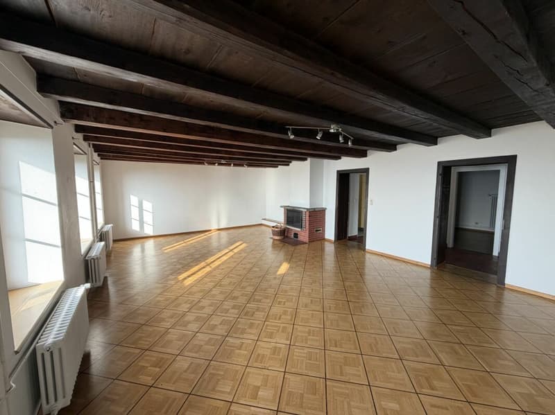 Magnificent apartment (4)