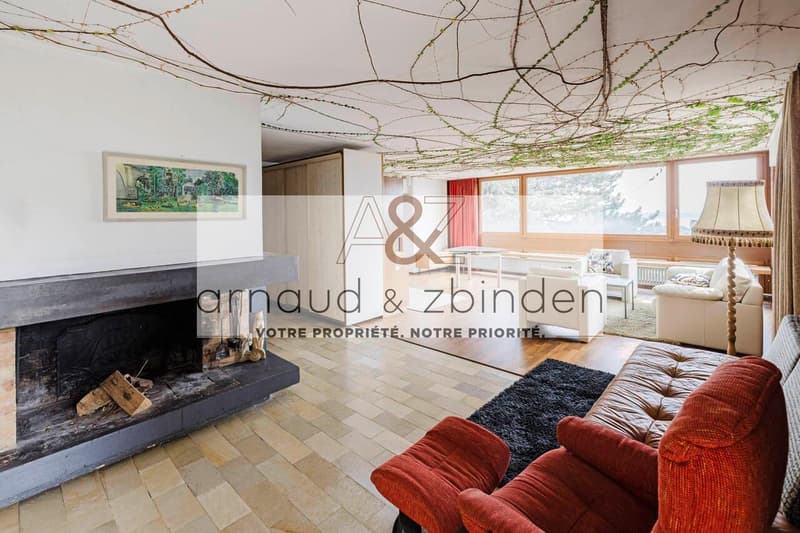 Magnifique villa contemporaine (2)