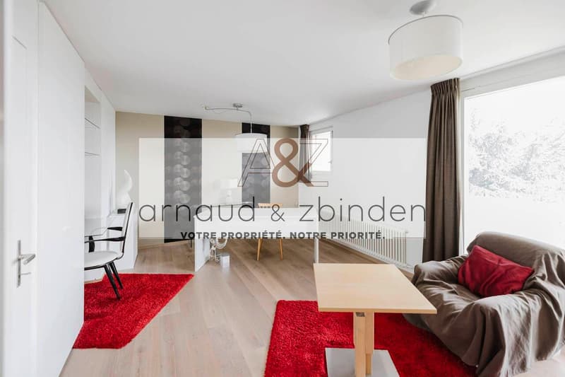 Magnifique villa contemporaine (4)